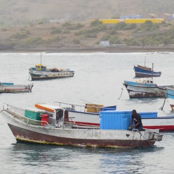iib África Ocidental emite os primeiros blue bonds em Cabo Verde.