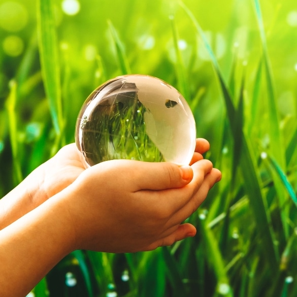Mask Group 374 development finance | iibanks